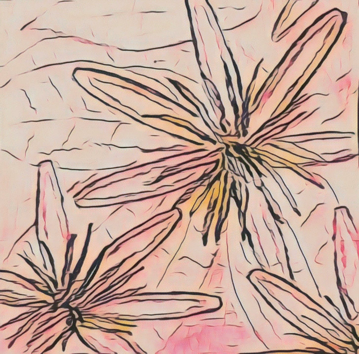 sketch of clematis flowers