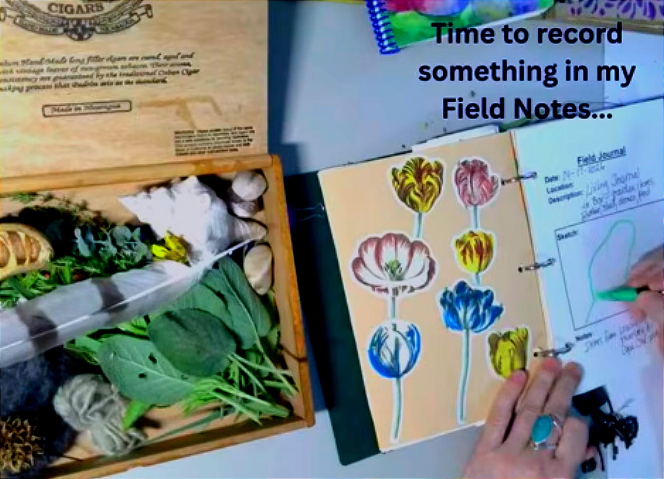 Eco-Arts Journals: Integrating Ecotherapy and Expressive Arts Therapy ...