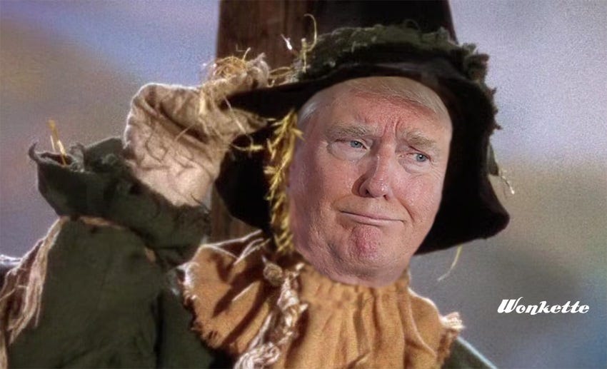 Clumsy photoshop of Donald Trump's face, his lips pursed, onto the body of the Scarecrow from The Wizard of Oz (1939) Clumsy photoshop of Donald Trump's face, his lips pursed, onto the body of the Scarecrow from The Wizard of Oz (1939)