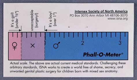 Human Anatomy Intersex People Pictures - ANATOMY STRUCTURE