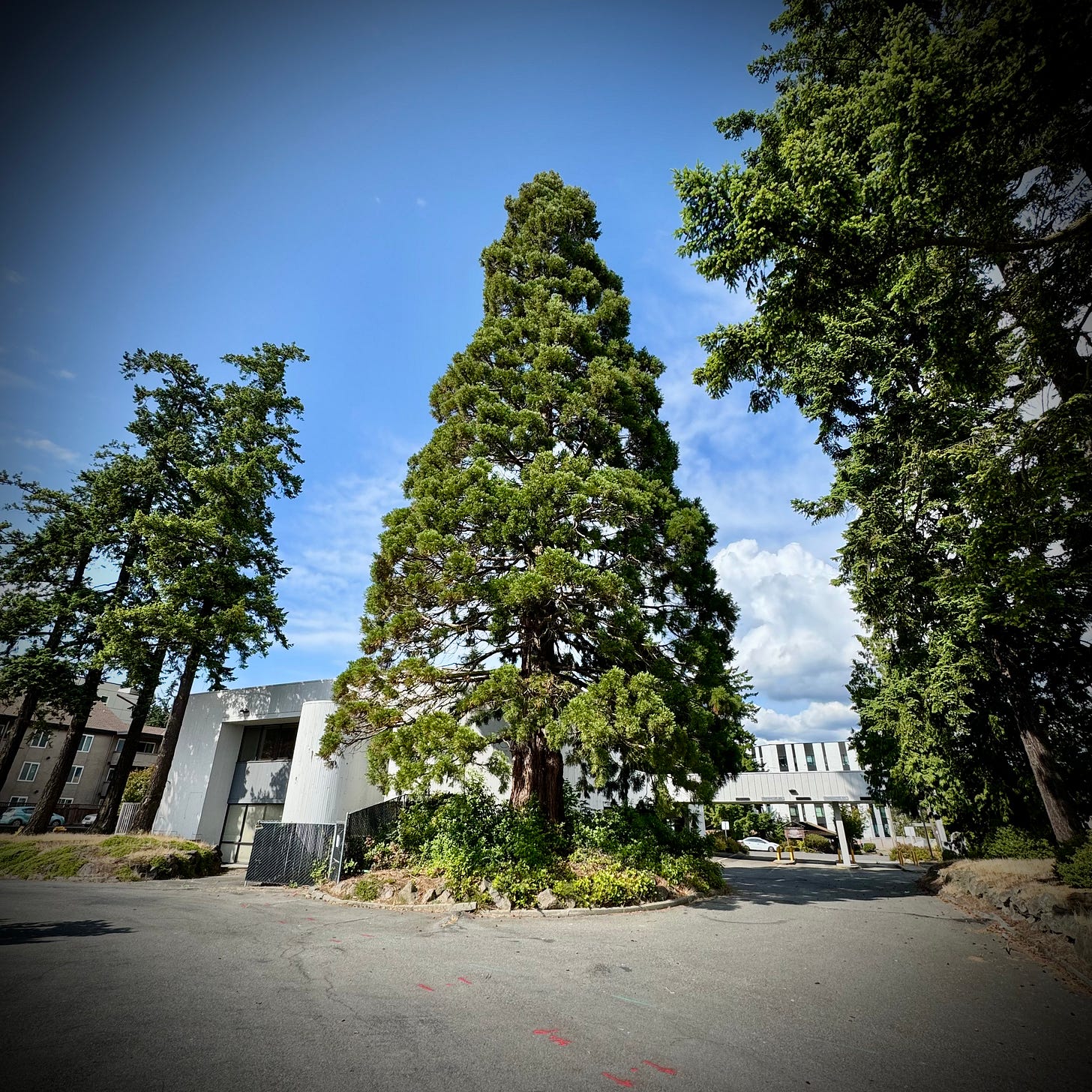 IMG_3128.heic IMG_3128.heic