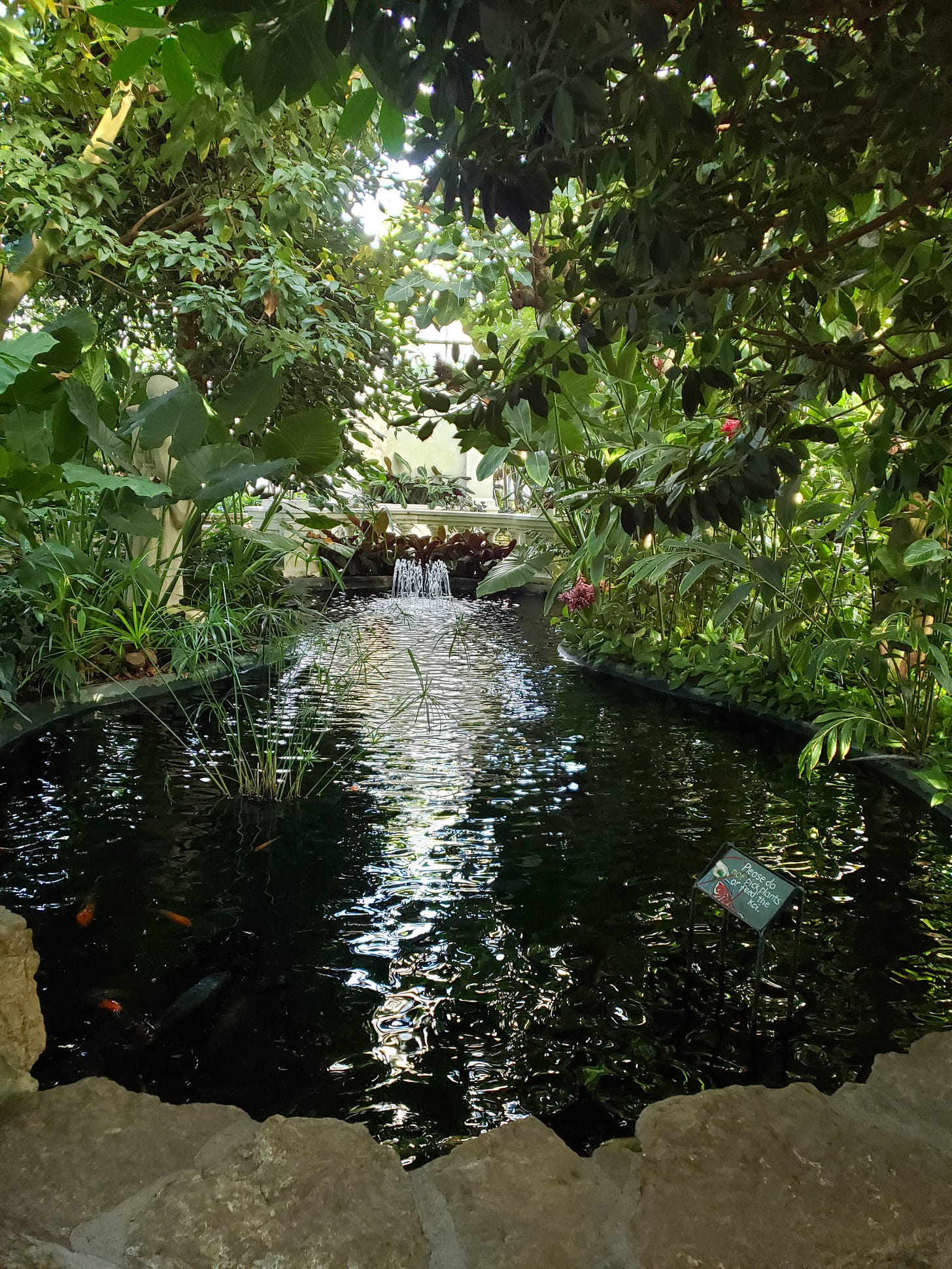 A pond filled with Koi fish and surrounded by vegetation. A sign coming up from the water reads Please do not pick plants or feed the Koi.