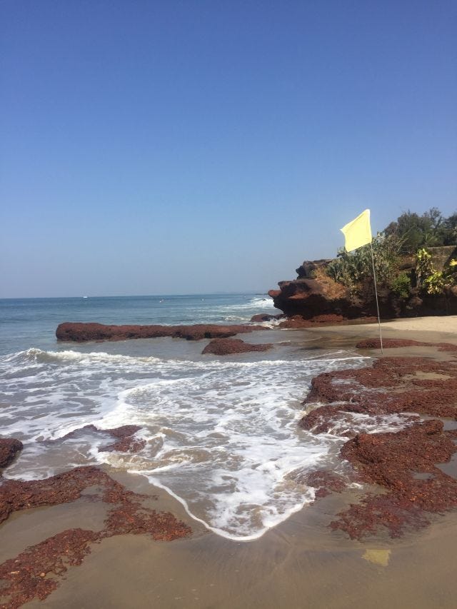 Ocean flowing in the back with reddish brown rocks in the front. To the right, there is a green patch of trees. There is also a yellow flag in the sand.