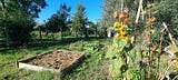 Contadina 