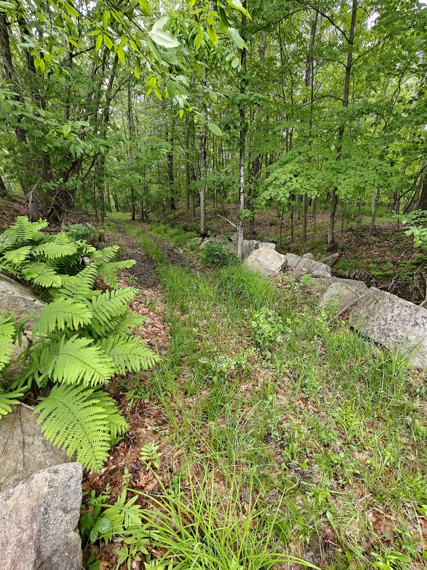 A Trek Along the Cocheco Railroad