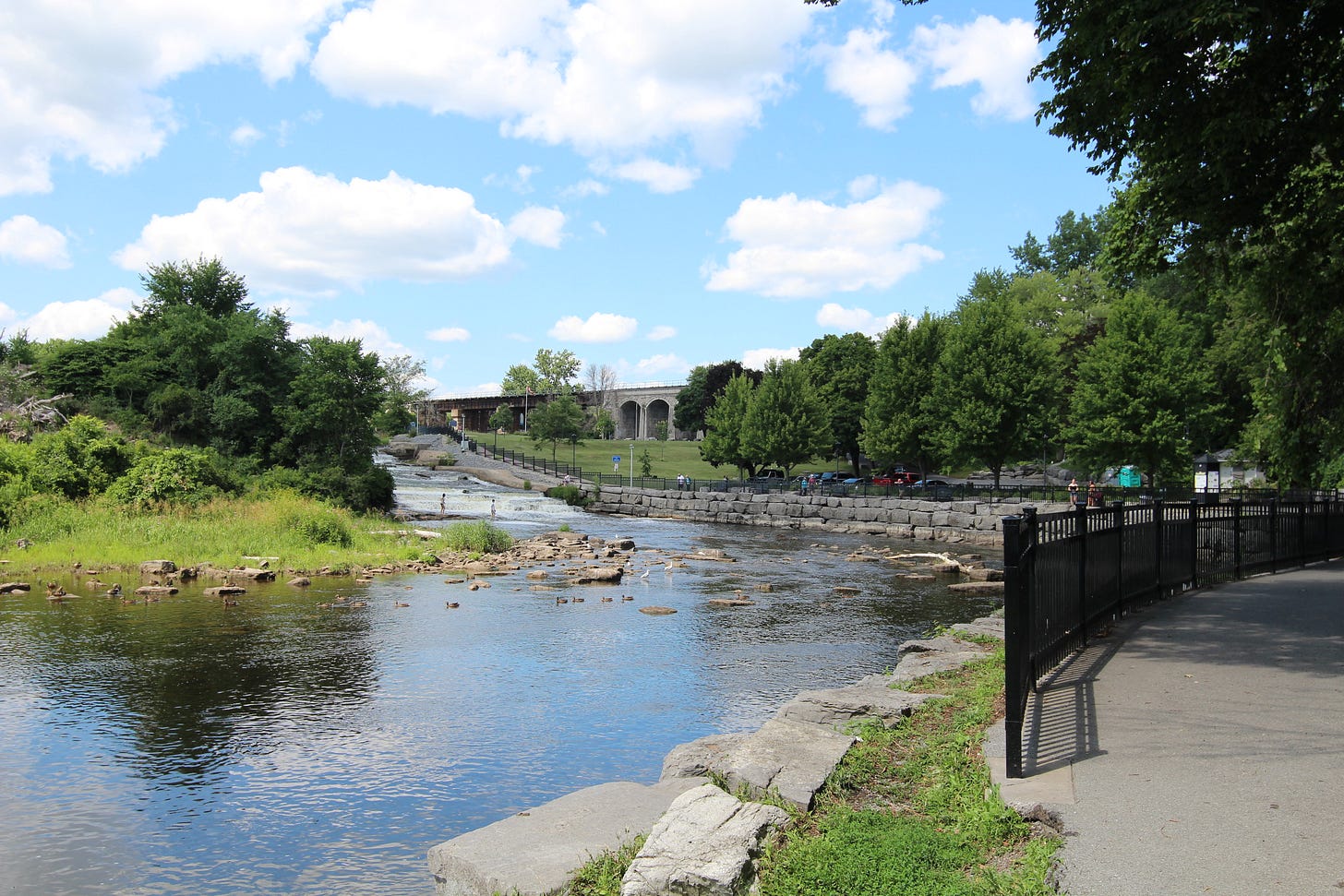 Napanee Falls