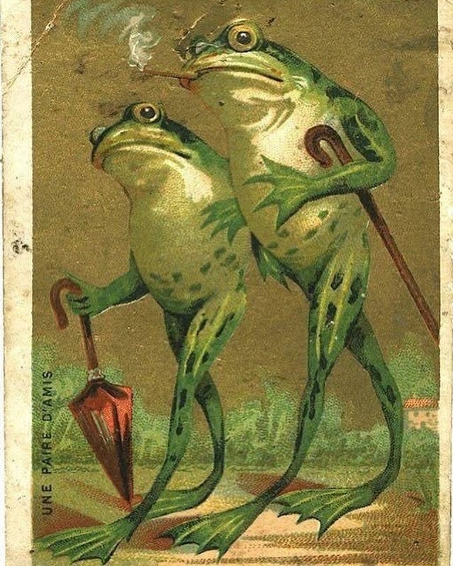 May be an illustration of amphibian May be an illustration of amphibian