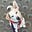 Andrew John Simpson's avatar