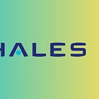Thales Group - Company Analysis and Outlook Report 2026 (Updated)