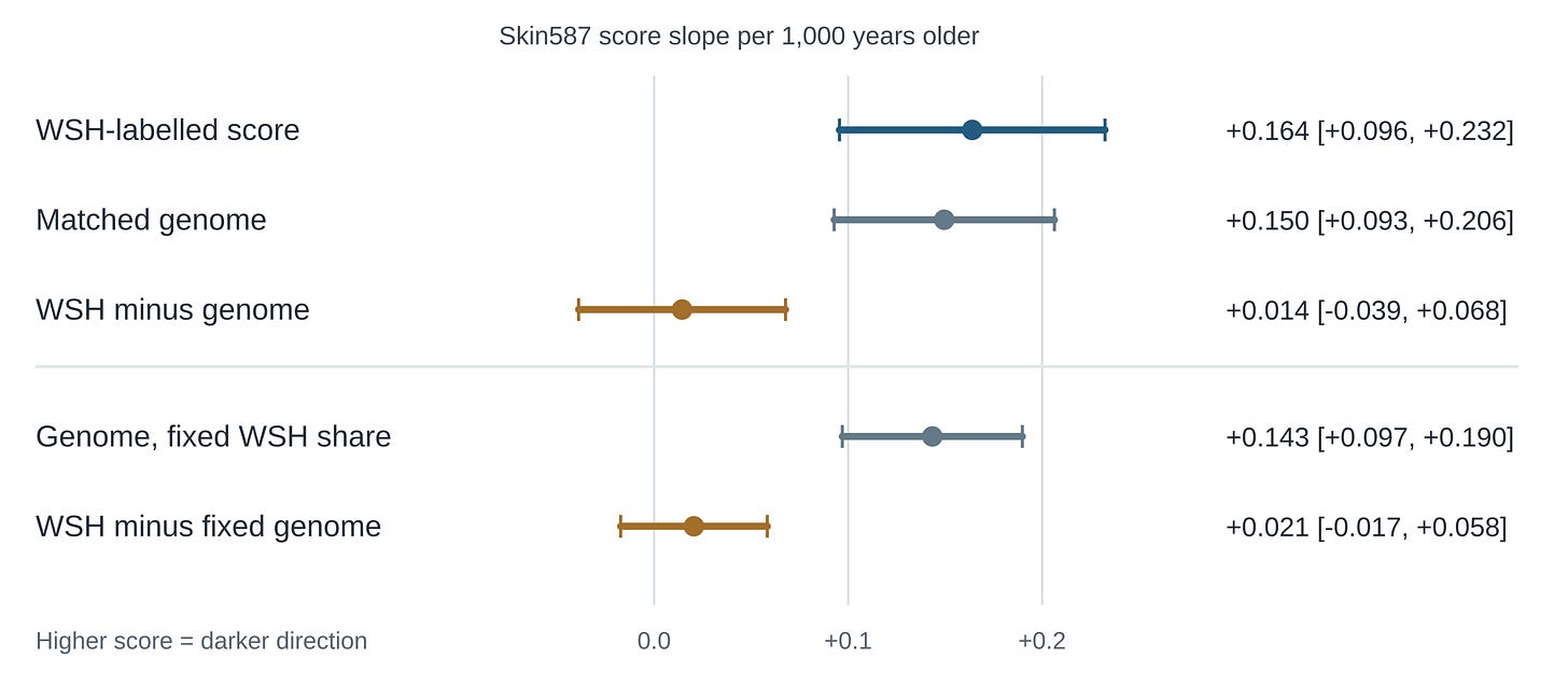 Five estimates with 95% intervals for Skin587 age slopes: WSH-labelled, matched genome and fixed-share genome slopes are positive, while both WSH-minus-genome intervals cross zero. Five estimates with 95% intervals for Skin587 age slopes: WSH-labelled, matched genome and fixed-share genome slopes are positive, while both WSH-minus-genome intervals cross zero.