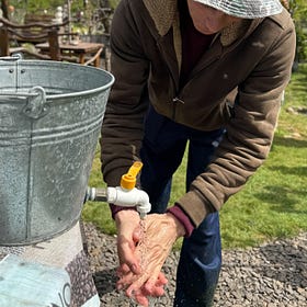 Povestea lui Petrea din vârful dealului