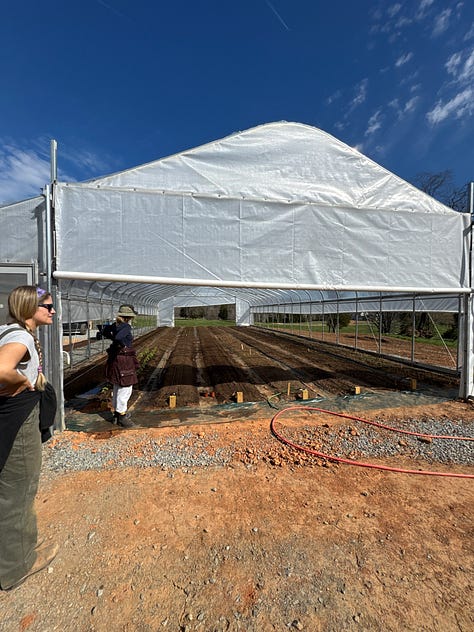 greenhouses, healthy food at restaurant