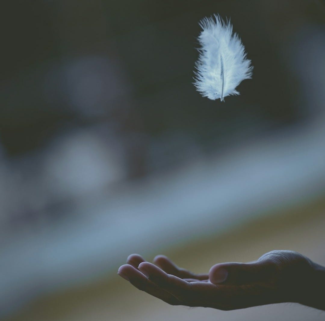shallow focus photography of white feather dropping in person's hand