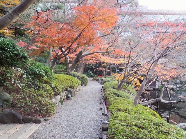 Foliage at Happo-en Foliage at Happo-en