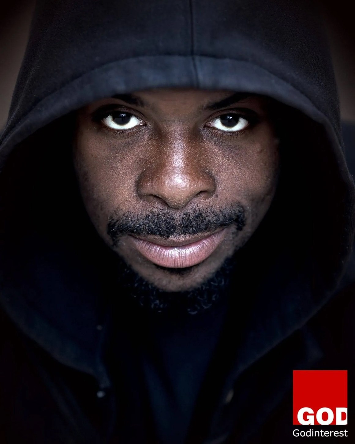 Meekness Is Not Weakness