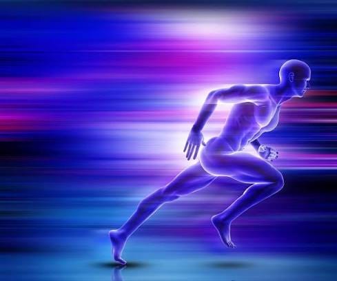 What Are The 3 Energy Systems In The Body? – NutraBio Brands