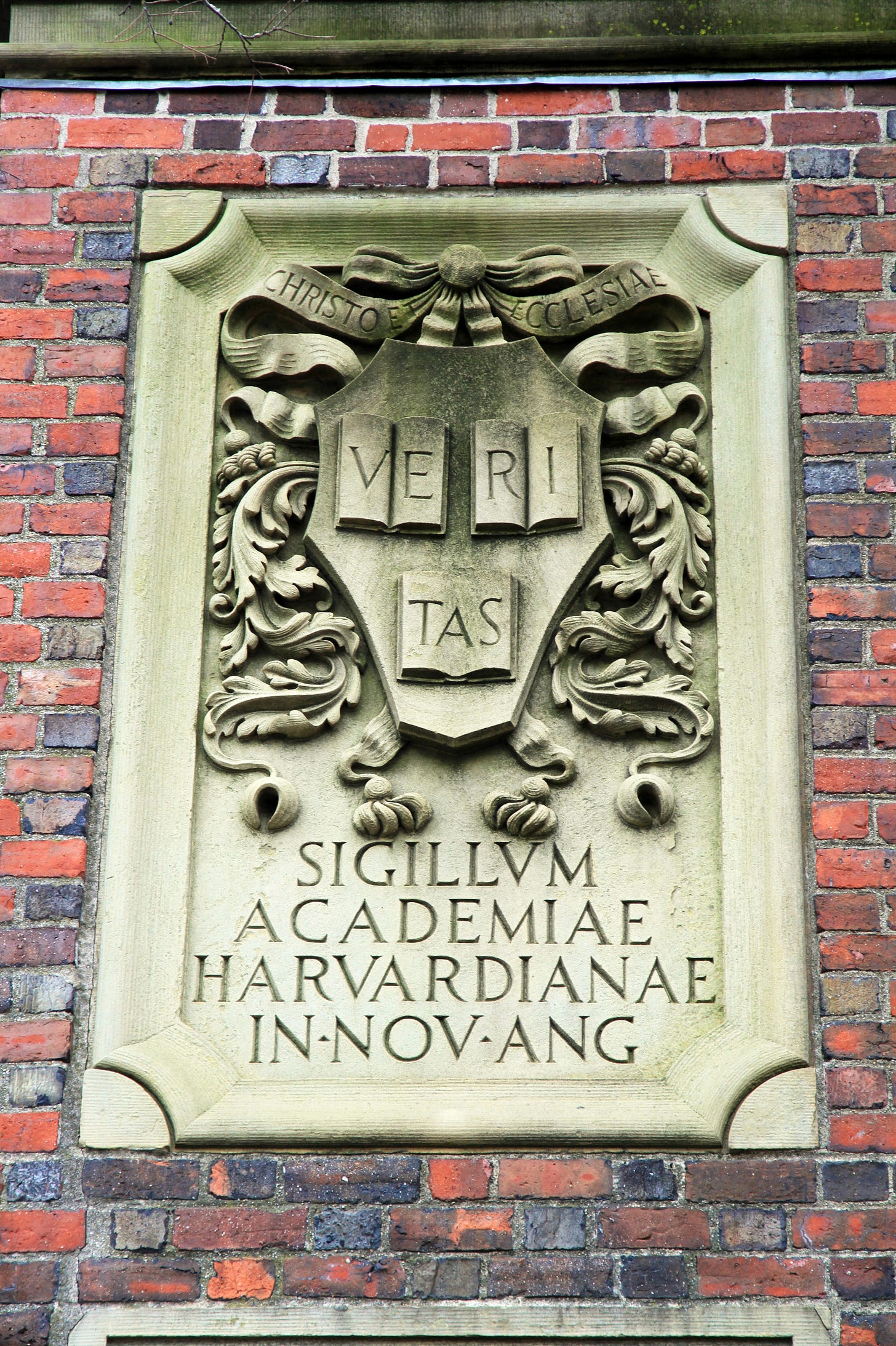 https://upload.wikimedia.org/wikipedia/commons/2/2f/USA-Harvard_University.jpg