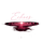 Echoes of My Truth