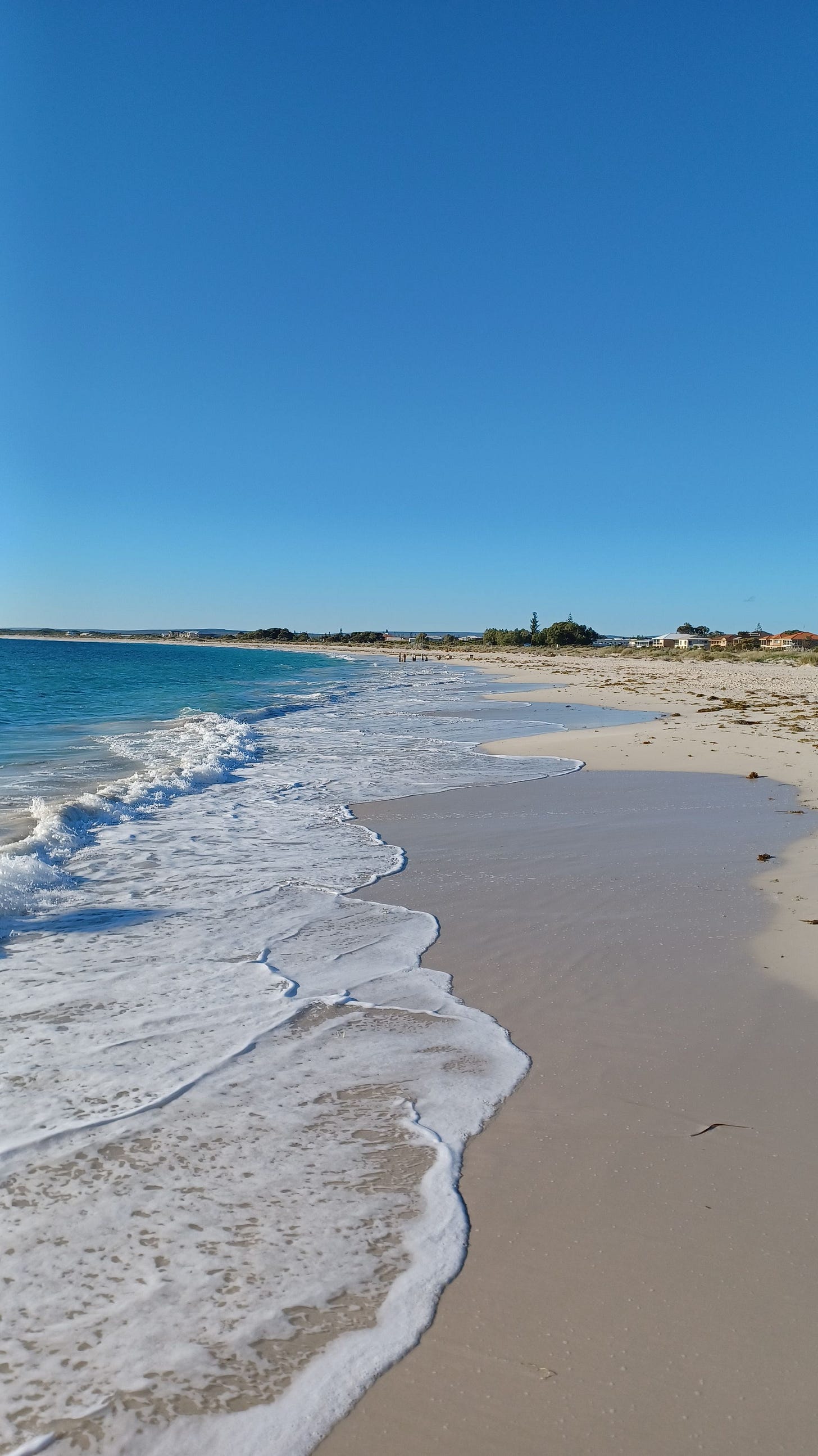 Western Australia Road Trip Highlights