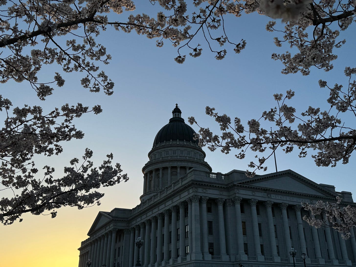 Cherry blossoms in front of the Utah State Capitol