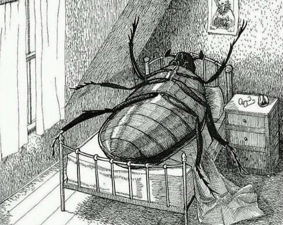 illustration of Gregor Samsa lying on his back in bed in his insect form