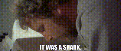 Image of It was a shark.