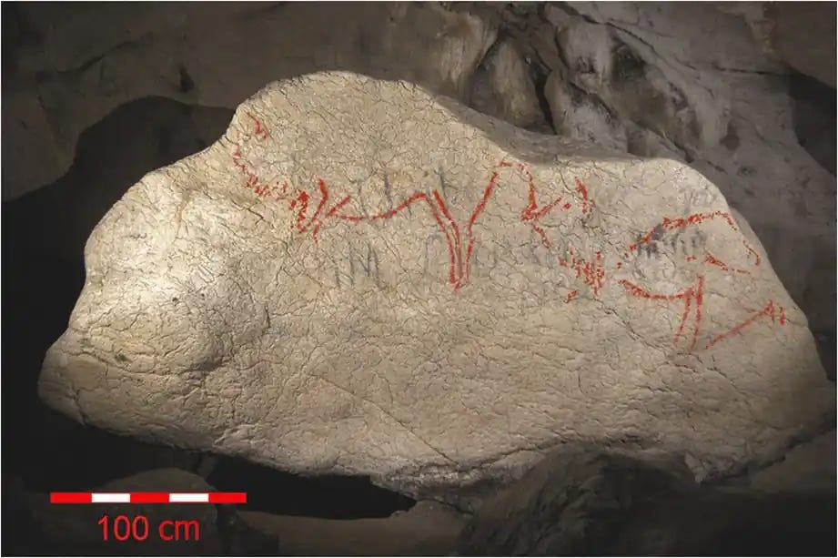 Panel Lum.D.II in Lumentxa Cave, showing two left-facing bison and a right-facing horse head. Credit: Garate et al. 2013 / I. Intxaurbe 2026.