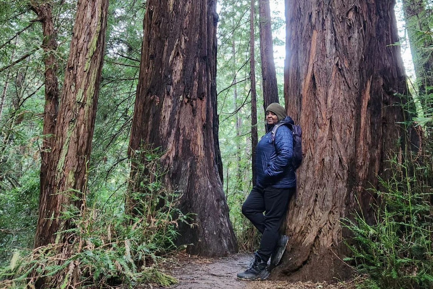 Teresa Baker in the Redwoods. Teresa Baker in the Redwoods.