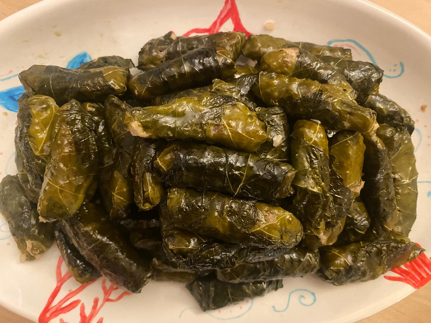 greek dolmades served on plate
