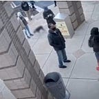 Surviving Healthcare