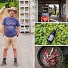 Off to the Races: Napa Valley’s 2025 Harvest Begins