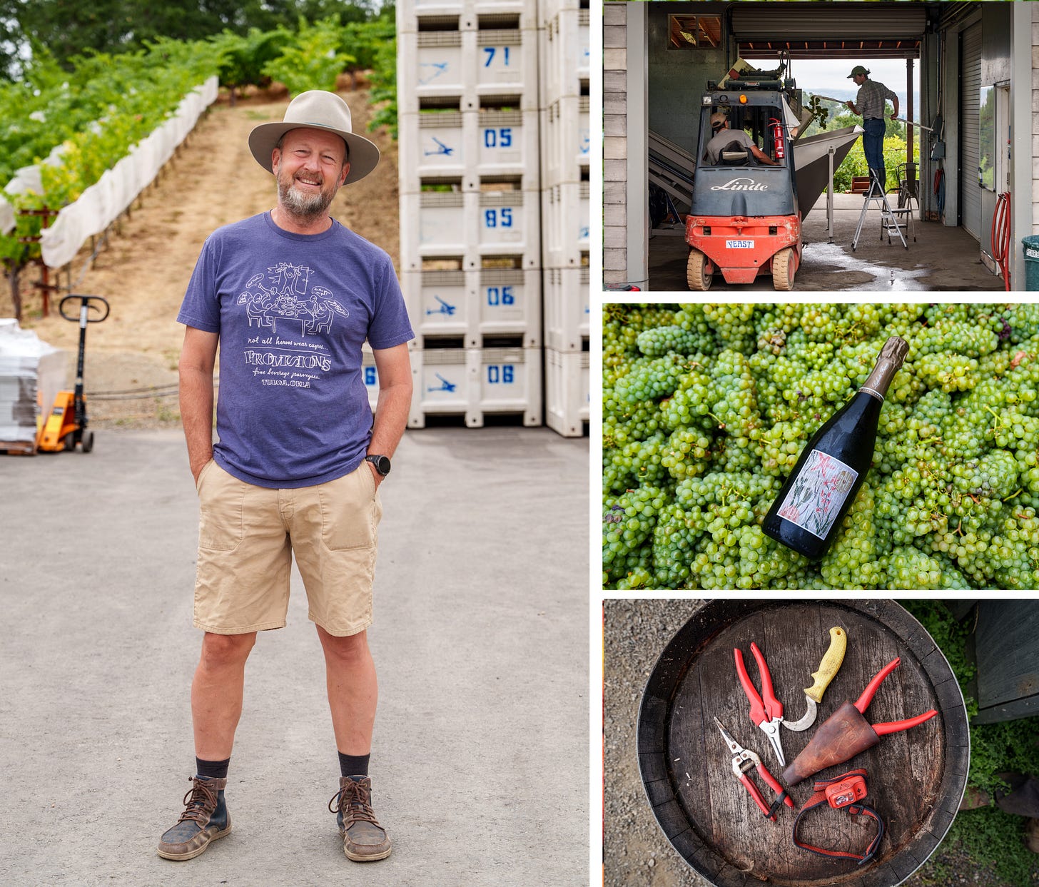 Off to the Races: Napa Valley's 2025 Harvest Begins