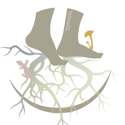 I N T E R L A C I N G S