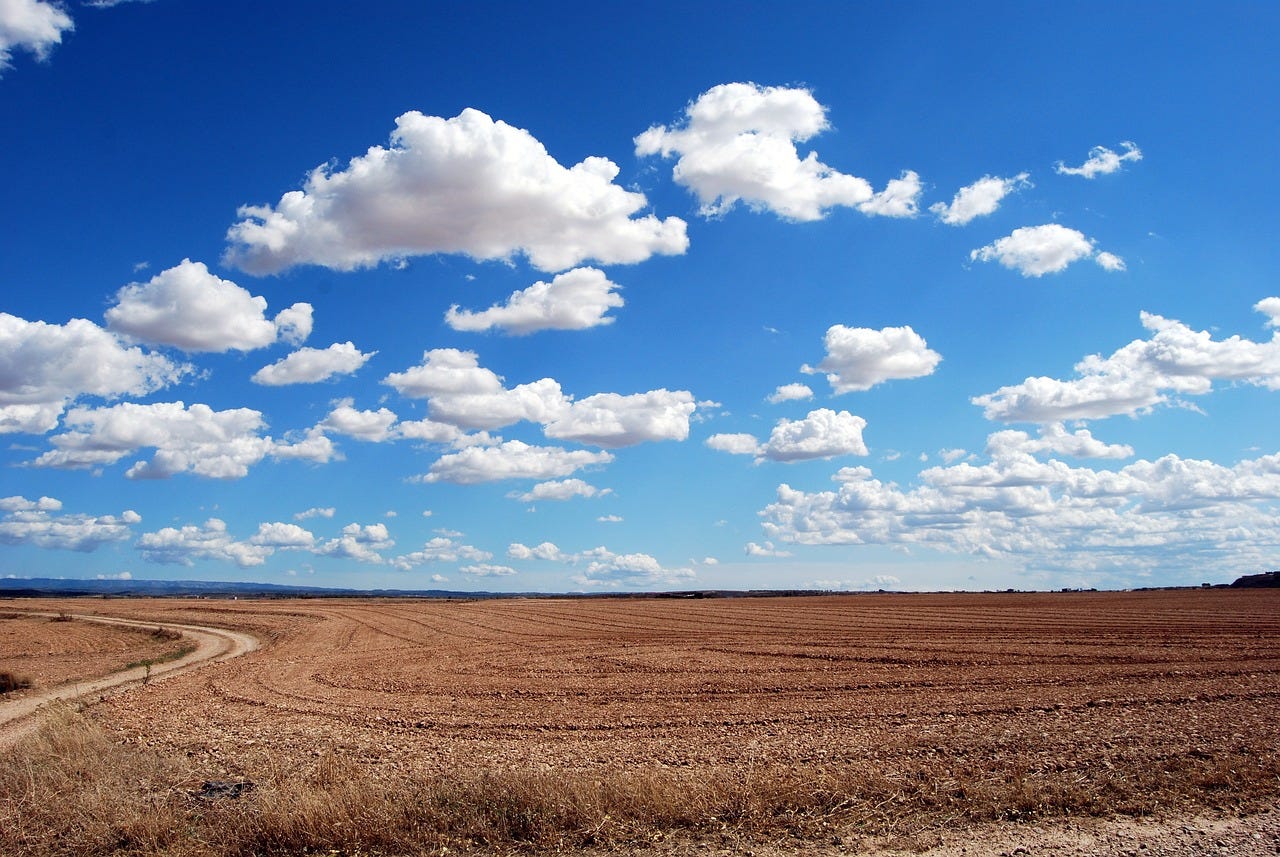 Wide open agricultural field with dirt road under blue sky, representing Indigenous ancestral lands central to Land Back sovereignty movemen