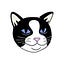 User's avatar