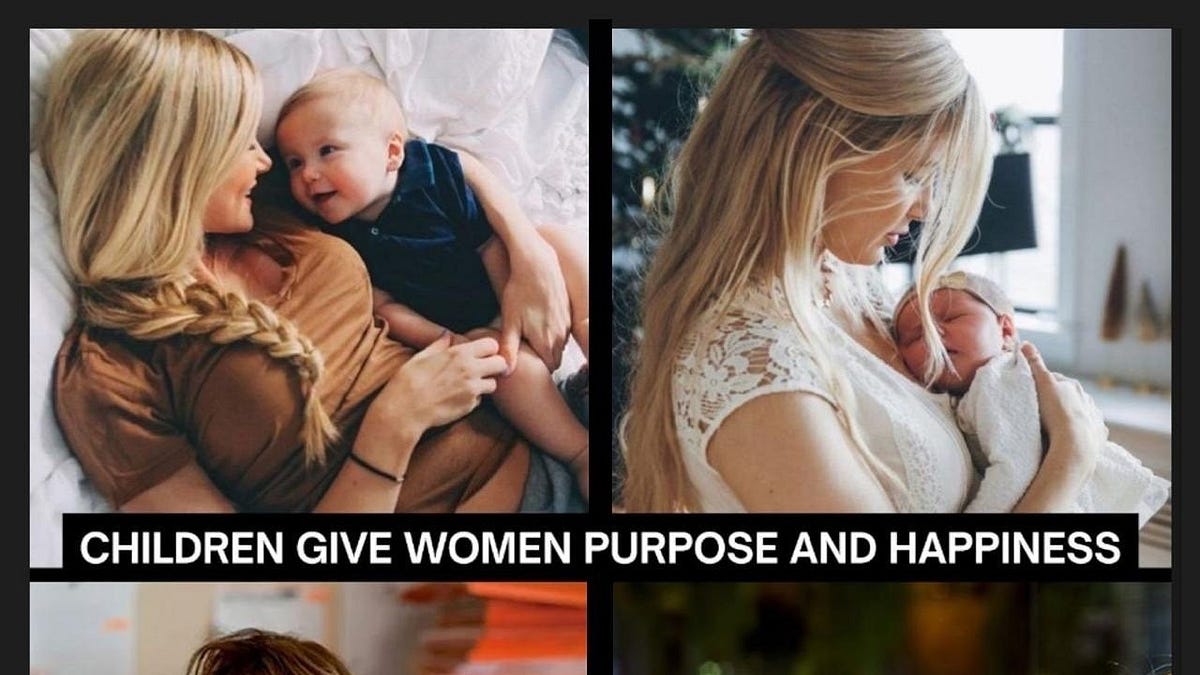 Cover image for He Doesn't Want a Tradwife, He Wants Collateral