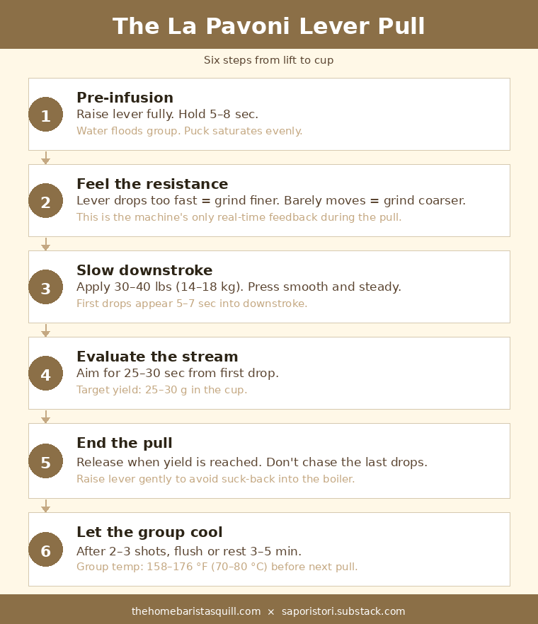 La Pavoni lever pull sequence: six steps from pre-infusion through extraction, with timing and yield targets. La Pavoni lever pull sequence: six steps from pre-infusion through extraction, with timing and yield targets.