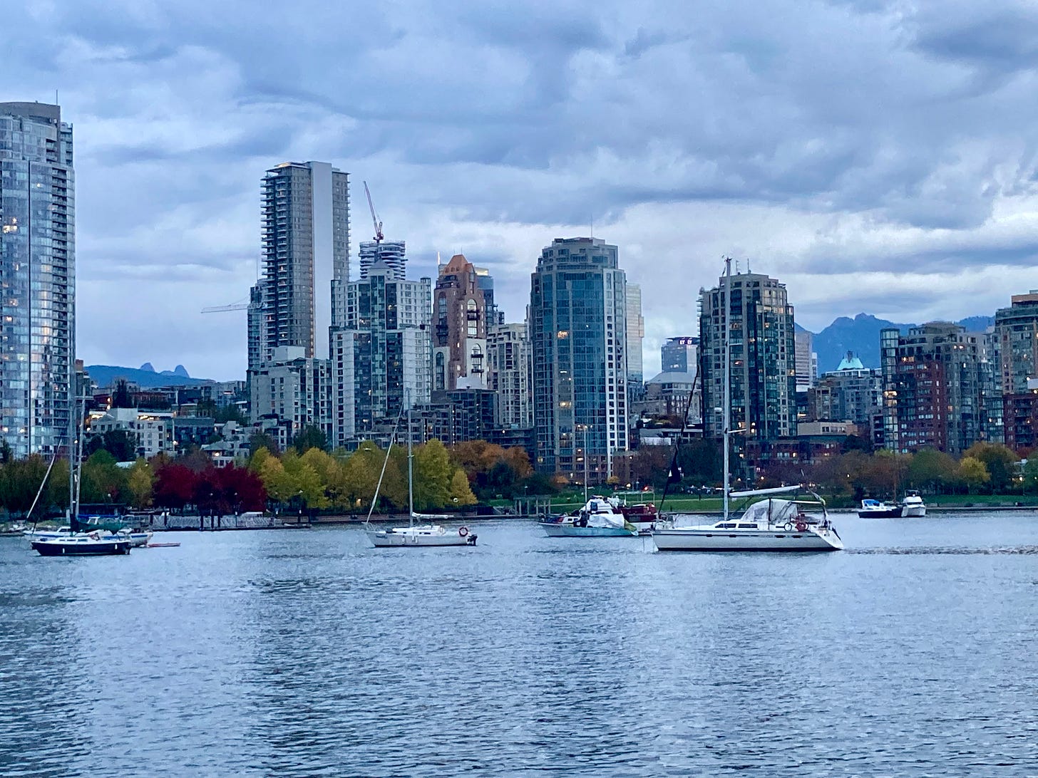 False Creek Views