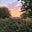 The Sunrise Poet's avatar