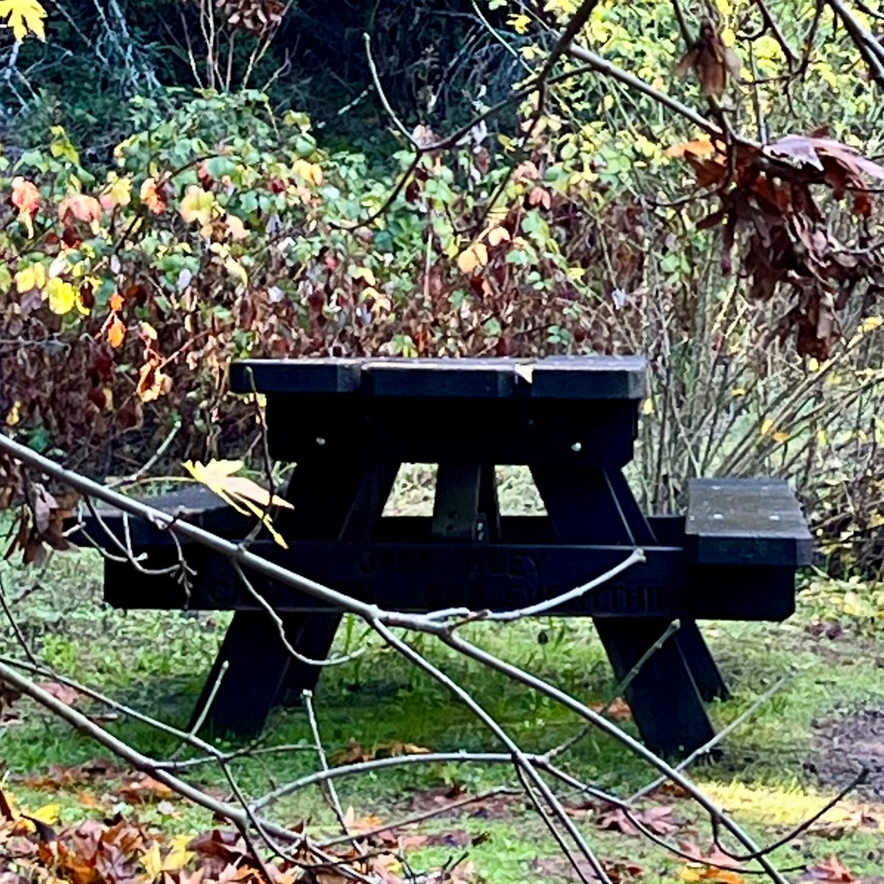 Pausing for Ponderings