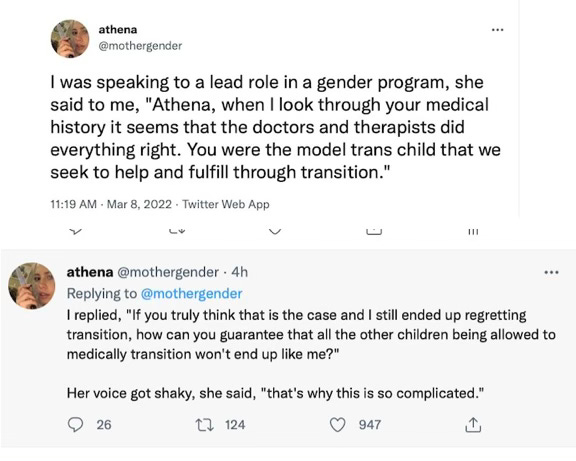 true trans child winds up desisting