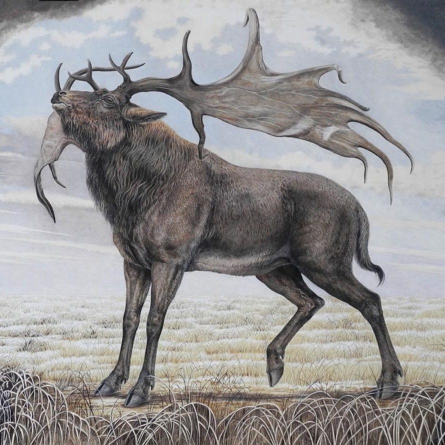 Irish Elk | Wallhanging by Dr. Elke Gröning | Artists for Conservation