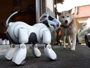 Joseph Scallan helped develop robot dogs for the US government.