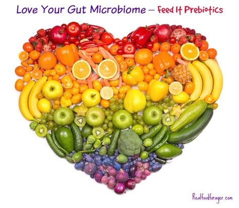 Love Your Gut Microbiome - Feed It Prebiotics