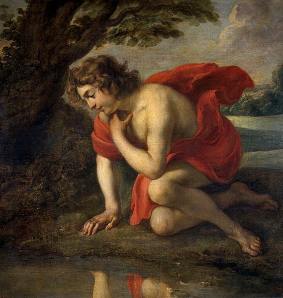 Narcissus