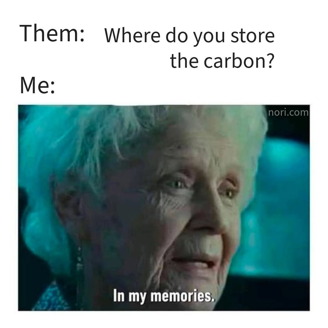 Text reading "Them: Where do you store the carbon? Me:" above old Rose from Titanic saying "In my memories."