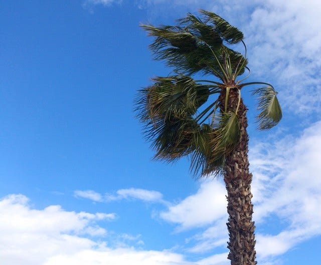 Cielo con Xperia S Cielo con Xperia S
