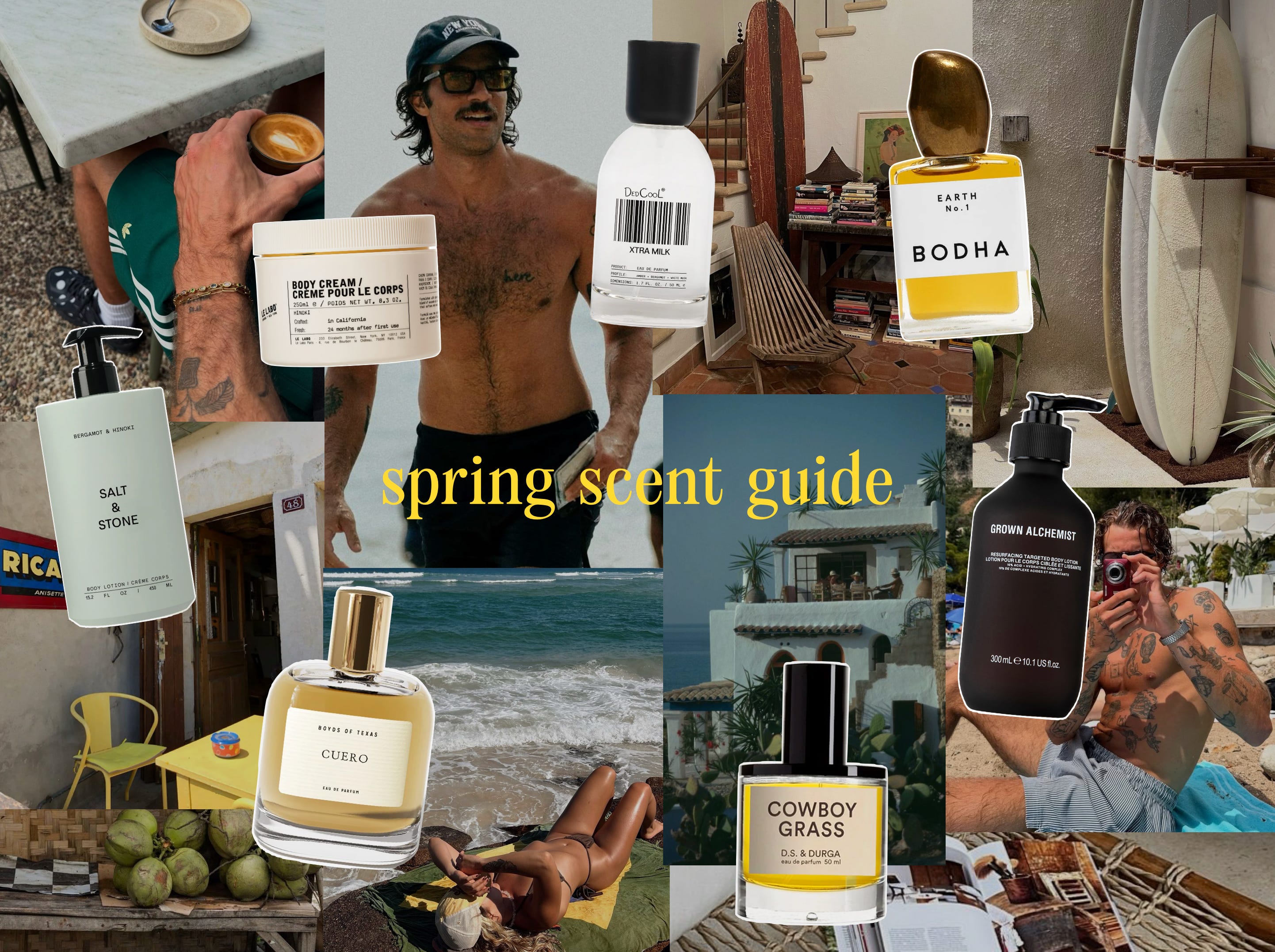 The Cool Guy Spring Scent Guide - by Lisa Rosen
