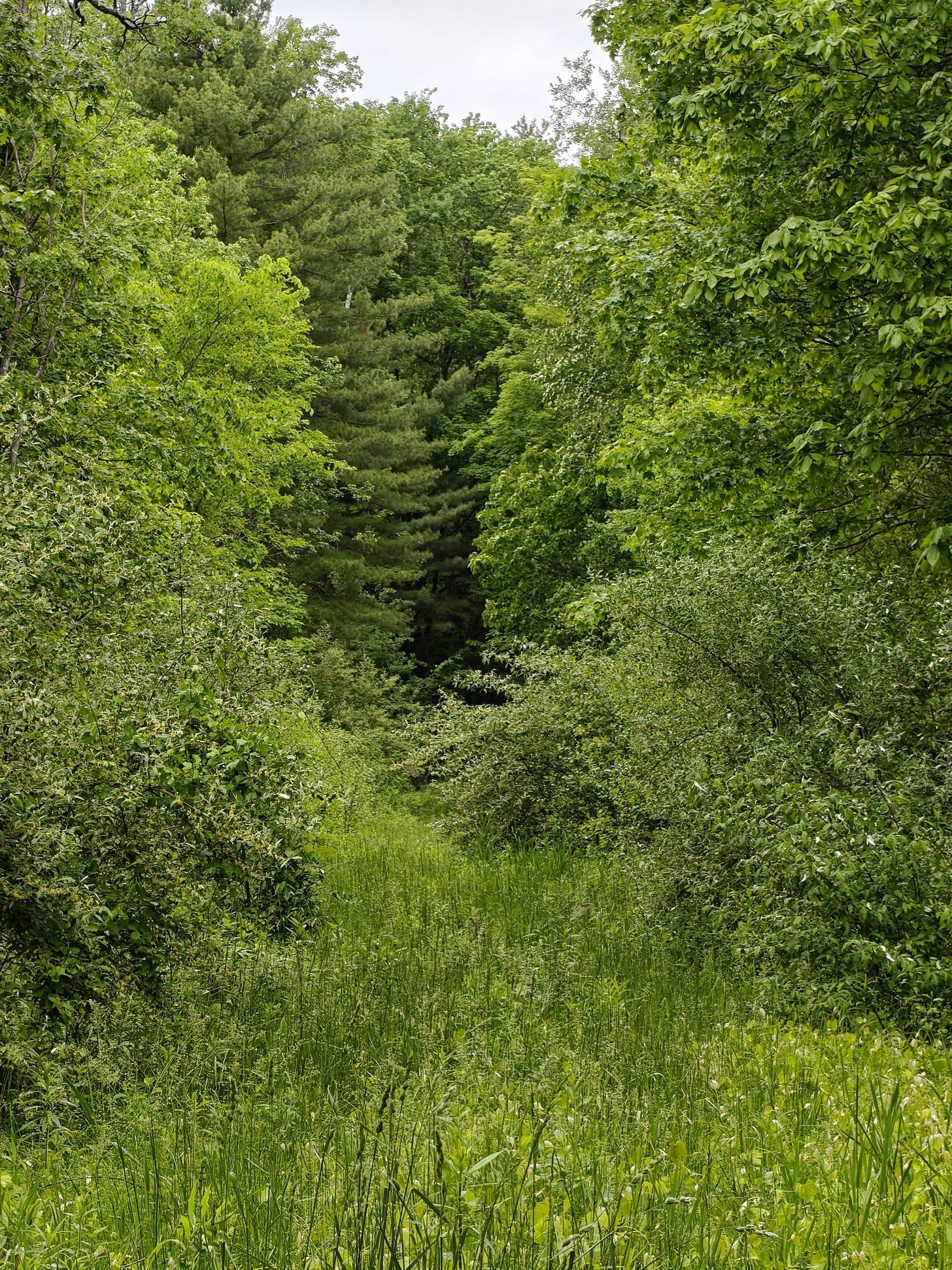 A Trek Along the Cocheco Railroad