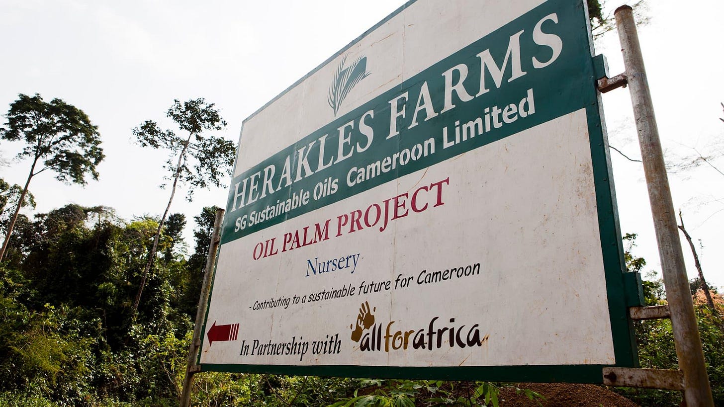 Herakles Farms sign in Cameroon.